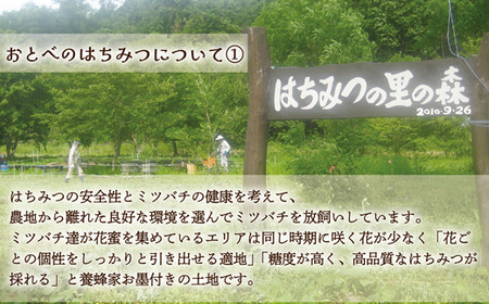 ＜おとべのはちみつ アカシア500g×1本＞北海道 道産 乙部町 蜂密 ハチミツ 魚つきの森からの恵み 天然 非加熱はちみつ 非加熱 アカシア蜜 ハニー 食品 おすすめ ミネラル 豊富 健康
