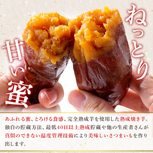 K-256-A 《常温保存2年》完全完熟紅はるか熟成焼き芋！レトルトパック計3袋(1袋あたり250g～300g)【スカイパレード】 熟成 鹿児島県霧島市福山産紅はるか 冷凍焼き芋 焼芋 やきいも さつまいも サツマイモ 常温 保存食 非常食 長期保存 備蓄