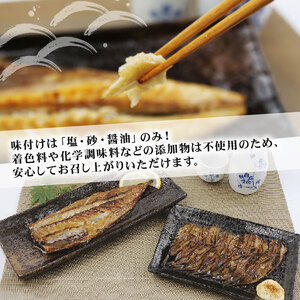干物 詰め合わせ セット 10枚 + 季節のひもの 干物