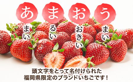福岡県産 冷凍あまおう 小分けパック 1kg(250g×4袋) 株式会社木村食品《30日以内に出荷予定(土日祝除く)》福岡県 小竹町 冷凍あまおう いちご 冷凍フルーツ 果物 送料無料