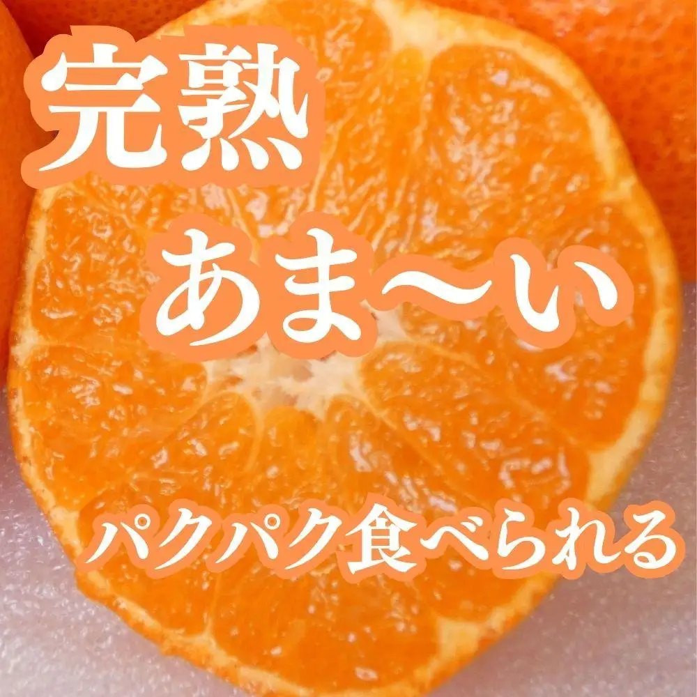 坂出特産みかん 約5kg入り（SまたはMサイズ）
