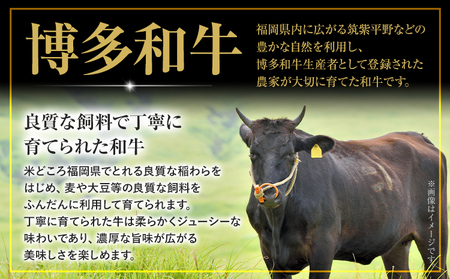 博多和牛 焼肉用 タレ漬け 1.1kg 株式会社木村食品《30日以内に出荷予定(土日祝除く)》小竹町 博多和牛 牛肉 焼肉用 焼肉 肩ロース 肩バラ モモ 赤身