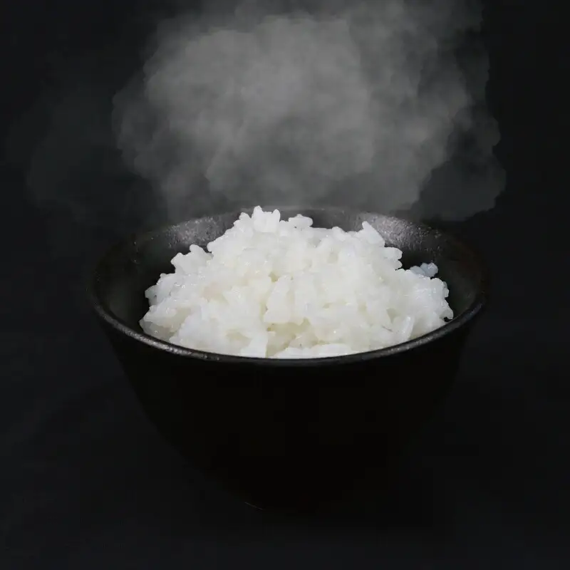 特別栽培米 三間のせせらぎ 三間町産 コシヒカリ 10kg 渡辺農園 米 ごはん お弁当 おにぎり ブランド米 ふっくら ツヤツヤ 甘い 粘り 美味しい 農家直送 産地直送 数量限定 国産 愛媛 宇和島 G028-117002