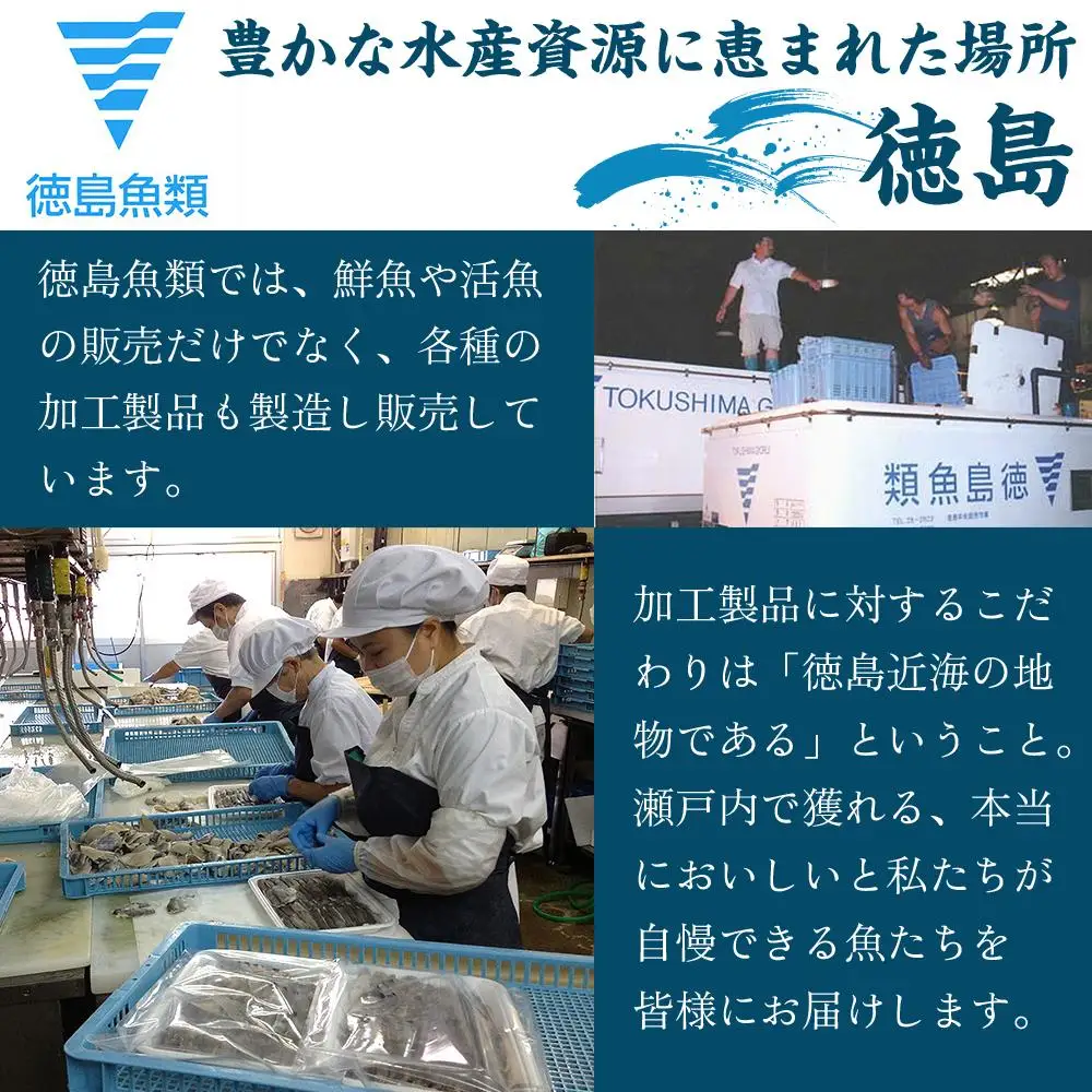 【お歳暮・贈答用・のし付き】天然鱧鱧鍋セット（3～4人前）【漁獲量全国トップクラス】
