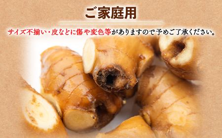生姜 訳あり 香南市産 別役の生姜 15kg - しょうが ショウガ ジンジャー 薬味 調味料 国産 訳アリ 家庭用 キズ 株式会社べっちゃく 高知県 香南市 bc-0022