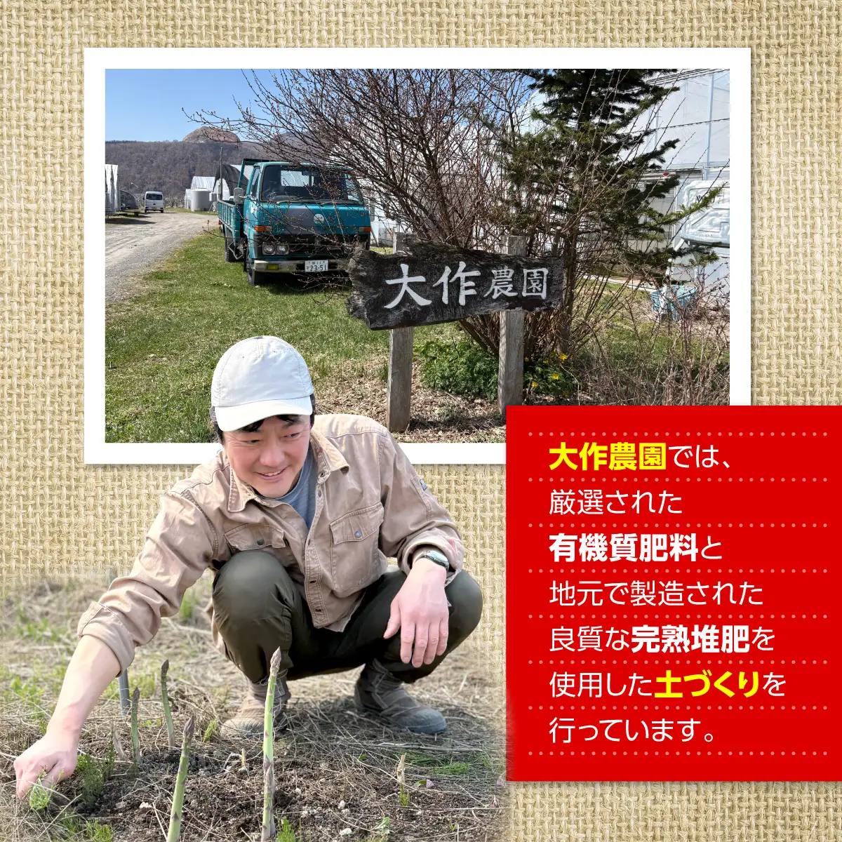 ＜2026年7月上旬よりお届け＞北海道壮瞥産 大作農園のカラフルミニトマト約1.5kg(5種以上) SBTR002