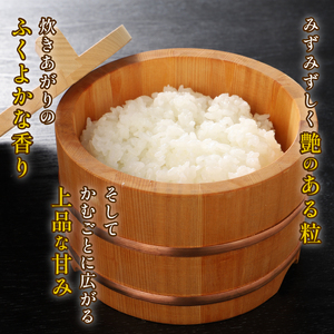米 5kg 令和7年産 コシヒカリ toushin002_04