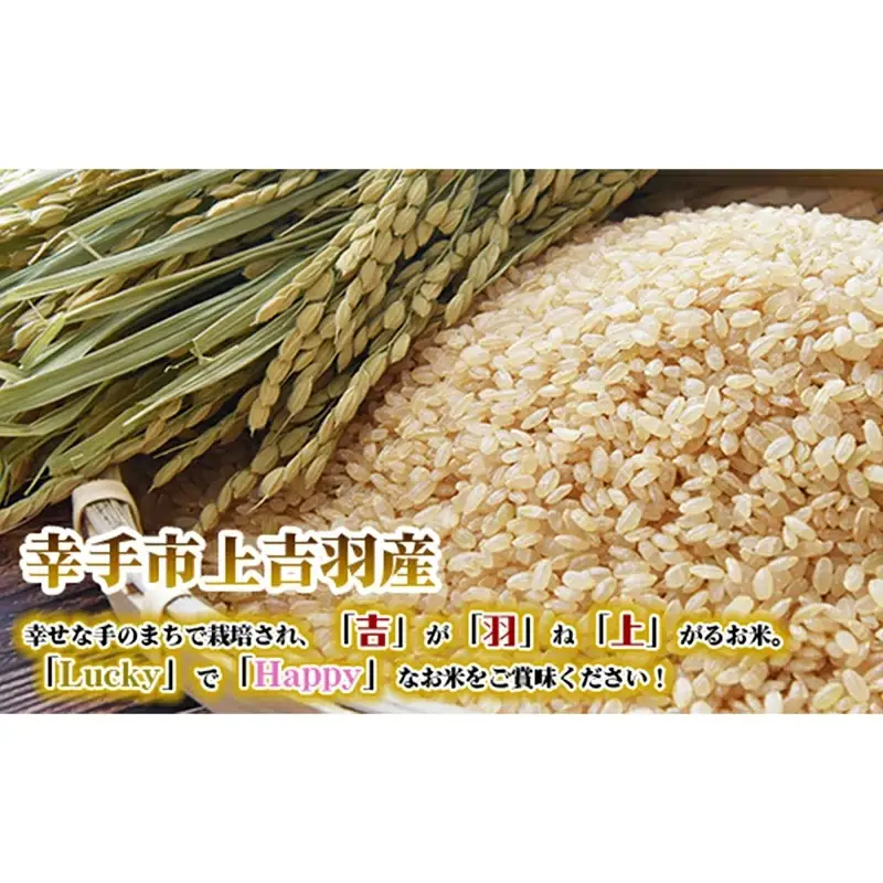 【令和7年産米】食味Aランク継続中の銘柄 彩のきずな 玄米10kg - お米 ごはん 銘柄 減農薬
