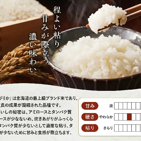 ゆめぴりか 5kg 定期便 12回 令和8年産 芦別市 お米 米 ゆめぴりか