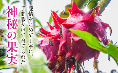 ドラゴンフルーツ　