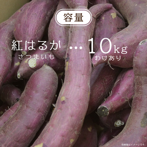 ★訳あり★【2026年9月より順次発送】農産物直売所「やさいの声」紅はるか 新芋 洗い 約10kg|訳ありさつまいも サツマイモ 紅はるか 洗い 行方市 ふるさと納税(EK-10)