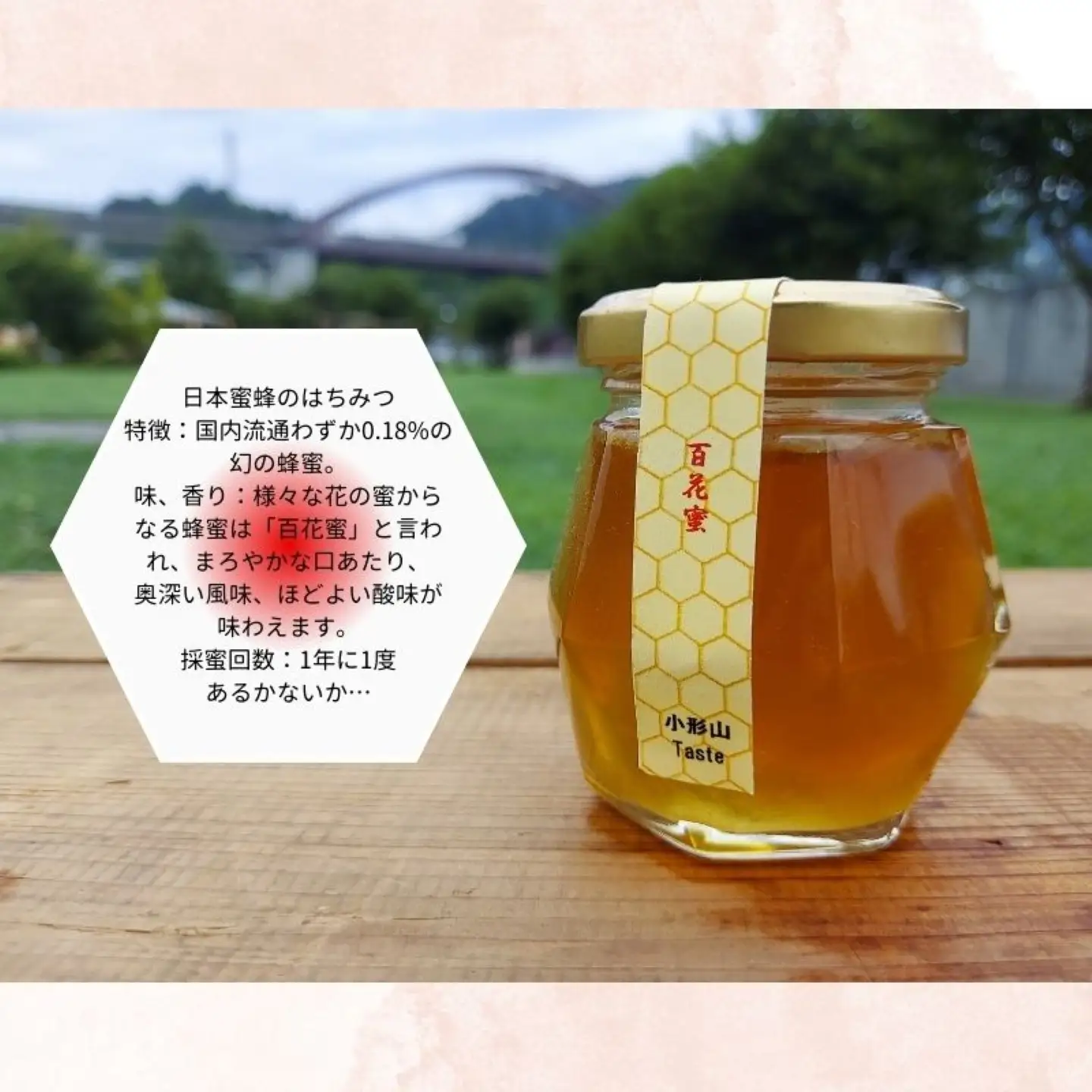 日本みつばちの蜂蜜＋西洋みつばちの蜂蜜食べ比べ4種セット 100ｇ×４　ハチミツ　はちみつ　ミツバチ　食べ比べ　ハチミツセット　パン　ヨーグルト