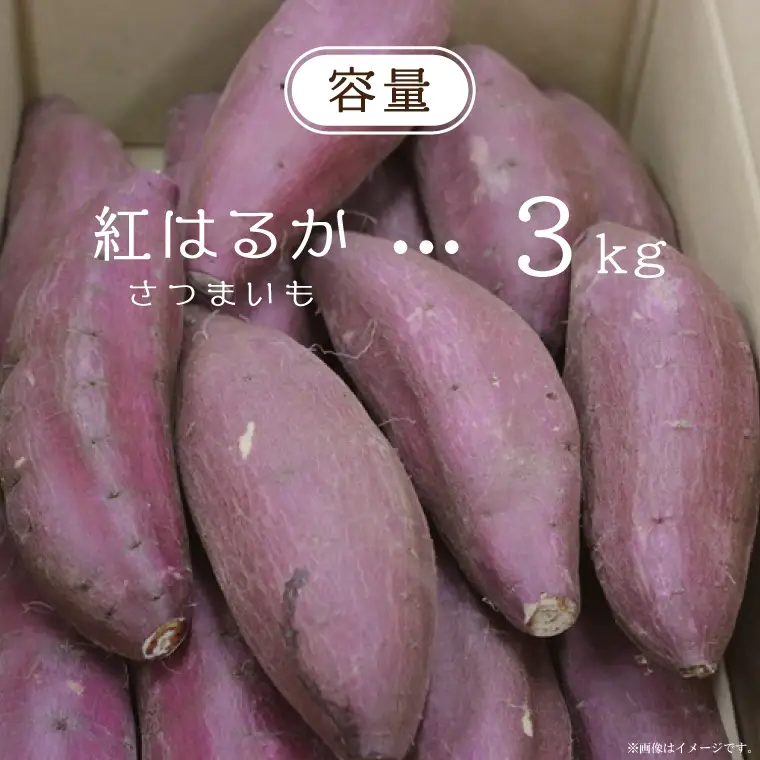 【2027年1月より順次発送】農産物直売所「やさいの声」　先行予約　さつまいも　紅はるか　熟成　洗い　約3kg(EK-11)