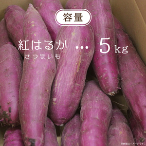 【2027年1月より順次発送】農産物直売所「やさいの声」熟成紅はるか 洗い 約5kg|さつまいも サツマイモ 紅はるか 熟成 洗い 行方市 ふるさと納税(EK-12)