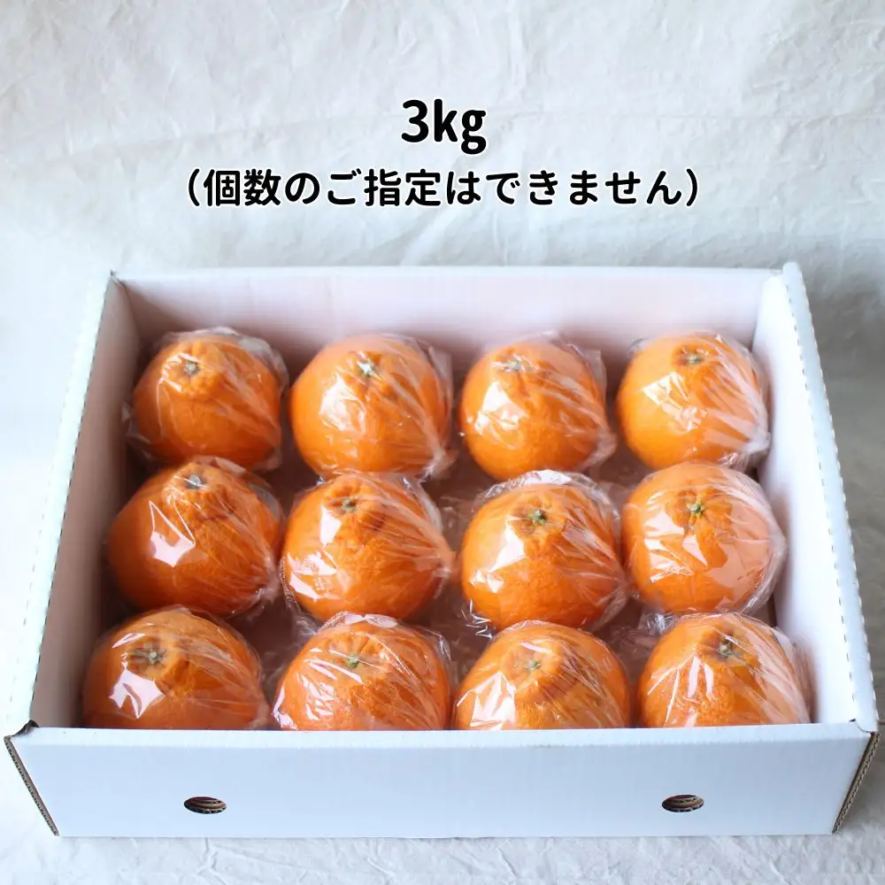 長期熟成しらぬい 約3kg 濃厚なコクと甘さ 農家直送 和歌山県産 【2027年5月～6月発送】