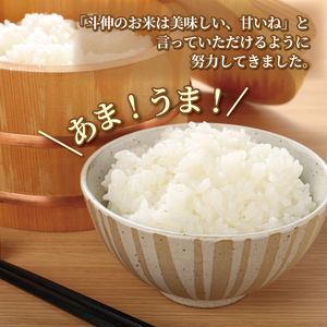 無洗米 5kg 令和7年産 コシヒカリ 新潟 toushin003_03