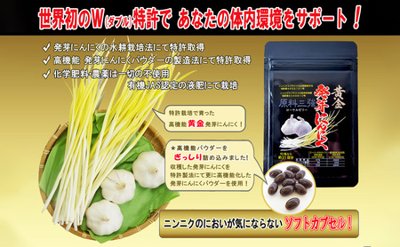 黄金発芽にんにく スプラウト パウダー サプリメント W特許 有機JAS認定肥料【 1袋 ／ 約31日分 93粒 】 加工食品 