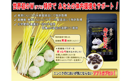 【定期便3回】黄金発芽にんにく スプラウト パウダー サプリメント W特許 有機JAS認定肥料【 1袋 ／ 約31日分 93粒 】 加工食品 