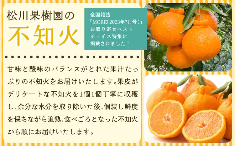 先行予約 不知火 訳あり 約5kg 約15〜20玉 雑誌MORE掲載 松川果樹園 2027年3月上旬から５月中旬発送予定