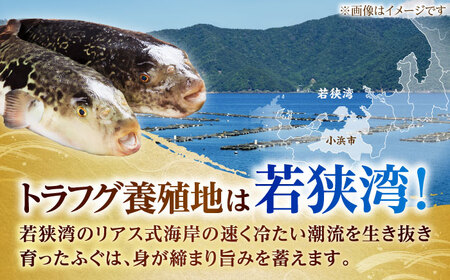【TVで紹介されました】【定期便3回】【先行予約/10月19日より順次配送】【着日指定・のし対応可】若狭ふぐ刺し セット 4人前 ふぐ 小浜市/  阿納ふぐ組合 [BFAC012] 
