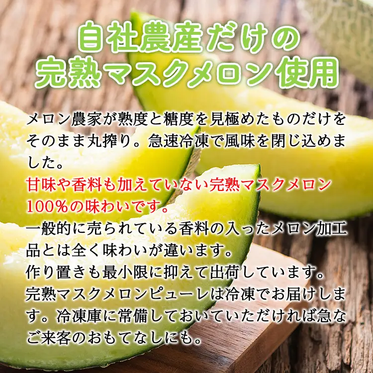  メロンピューレ(120g×5袋) バニラアイス(80ｇ×5個) アイス tn-0021