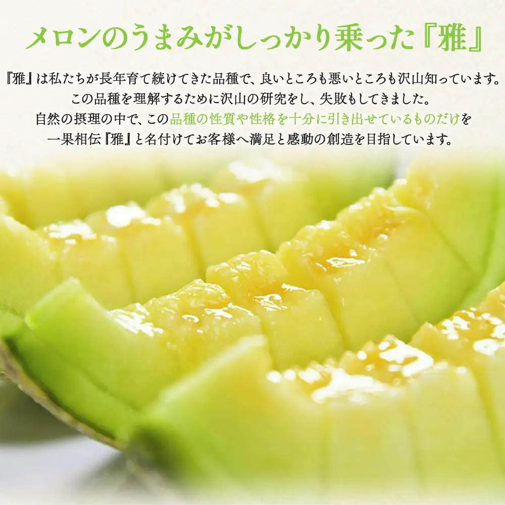 【11月以降順次配送】高知県産 マスクメロン ２玉 家庭用 【 赤肉青肉セット フルーツ くだもの フルーツ メロンの返礼品 】 香南市 tn-0026