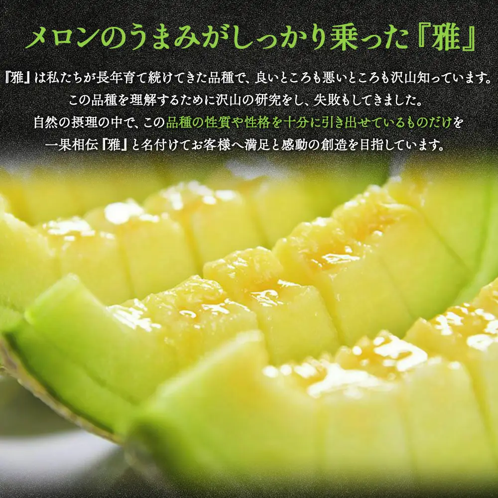 マスクメロン 2玉 食べ比べ メロン tn-0027