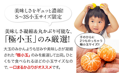 訳あり みかん ひとくちもぎたてみかん 約 4.5kg フルーツ