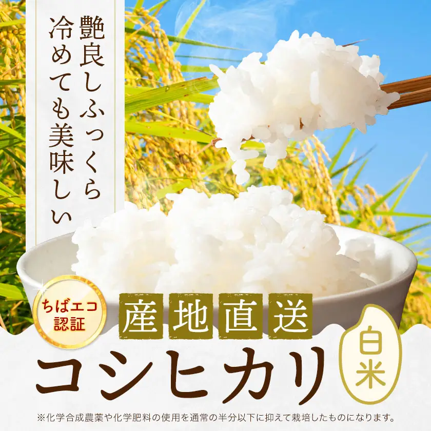 R8年産米 米 白米 コシヒカリ 5kg 《30日以内に出荷予定(土日祝除く)》