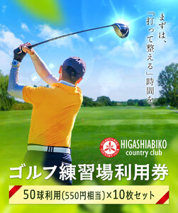ゴルフ 練習場 利用券 50球×10枚セット 東我孫子カントリークラブ