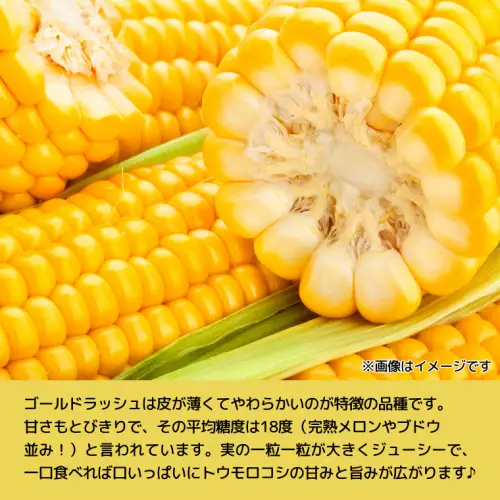 高評価★5.0 トウモロコシ ゴールドラッシュ 6kg 茨城県産 とうもろこし