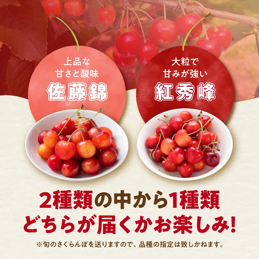 【先行予約：2027年初夏発送】さくらんぼ 毎年大好評！こだわりの東谷農園 余市産 さくらんぼ 1kg_Y037-0347