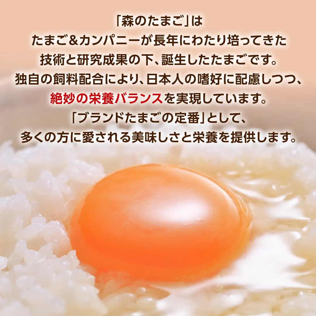森のたまご 白 6個入×5パック（ 割れ補償 1パック サービス付 ）卵 玉子 ブランド卵 栄養 健康 卵かけご飯 厚焼き玉子 たまご焼き 目玉焼き ゆで卵 [DA001ya]