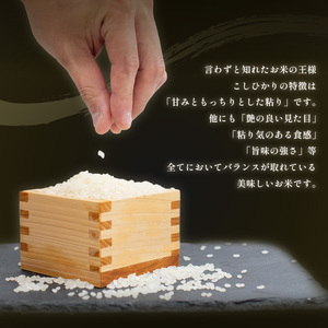 定期便 3回 コシヒカリ 無洗米 10kg 令和6年産 米 こめ ご飯 ごはん おにぎり 精米 無洗米 卵かけご飯 食品 備蓄 備蓄米 保存 防災 ギフト 贈答 プレゼント お取り寄せ グルメ 送料無料 徳島県 阿波市 須見商店