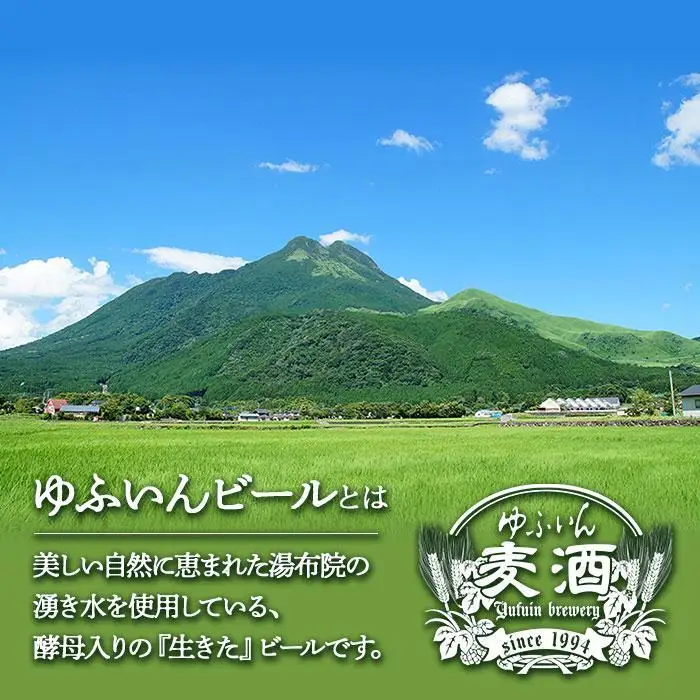 【お歳暮】ゆふいんビール３種飲み比べセット＜3種各2本 中瓶(500ml)＞