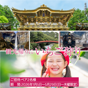 [先行予約]「究極のふつういちご」厳選大粒とちあいか 30粒入り＋いちご狩りペアご招待券 [2026年12月中旬より順次発送]  [0649]