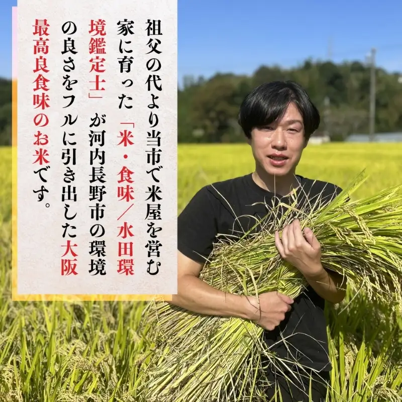 【定期便　毎月お届け6ヵ月】【令和8年10月10日以降順次発送】令和8年度産新米 国際コンンクール受賞 河内長野産米約4.5ｋｇきぬむすめ