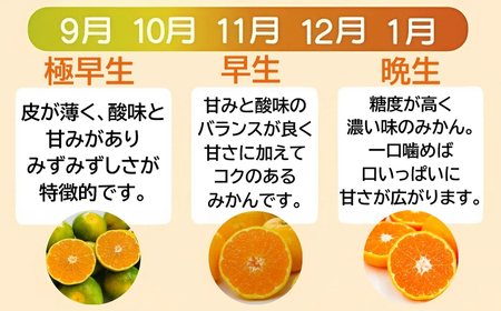 【愛媛みかん】 2kg 2箱 計4kg  国産みかん