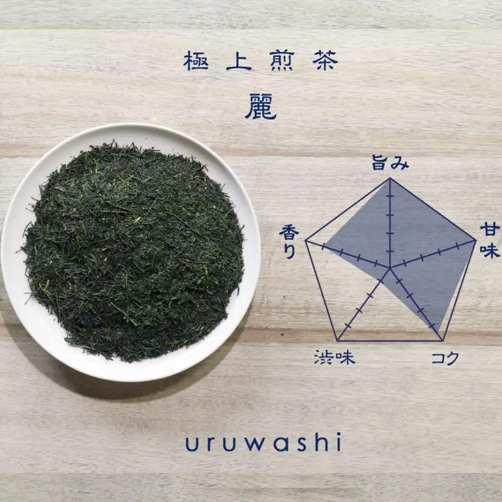 原田茶園 極上煎茶 麗至 120g(60g×2)【八女茶】