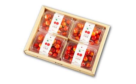 【2027年先行予約】山形県産 さくらんぼ 紅秀峰 秀品Lサイズ 180g×4 FSY-2148