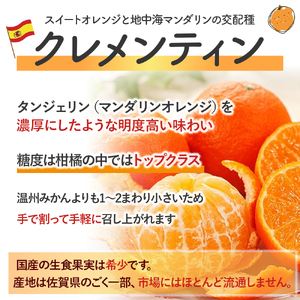 スペイン生まれのたら育ちクレメンティン 3kg クレメンティン みかん 柑橘 国産 オレンジ マンダリン 希少 ジューシー 佐賀県 太良町 M85x1 【2026年12月上旬～2027年1月上旬発送予定】