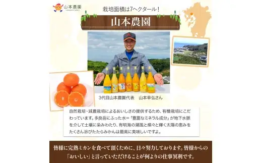 山本農園の大玉みかん 4.5kg 温州みかん 早生 温州 みかん ミカン 蜜柑 温州蜜柑 温州ミカン フルーツ くだもの 果物 ミネラル豊富 太良町 国産 贈答用 L14x1 【2026年11月下旬～2027年1月下旬】