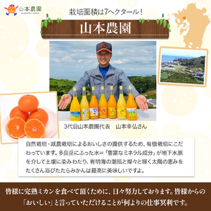 L-13 山本農園の甘熟みかん(S～2Lサイズ)5kg　みかん ミカン 蜜柑 温州みかん 完熟みかん 甘熟 柑橘 有機栽培 国産 佐賀県産 太良町 こだわり 贈答品 産地直送 詰め合わせ