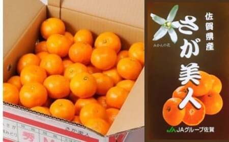 O95x1 たらみかん「さが美人」5kg　 太良町 さが 佐賀 温州みかん みかん ミカン さが美人 ブランドみかん 甘いみかん JA ジューシー 柑橘 マルチ栽培 甘い 贈り物 贈答 【2026年10月下旬-12月下旬発送予定】
