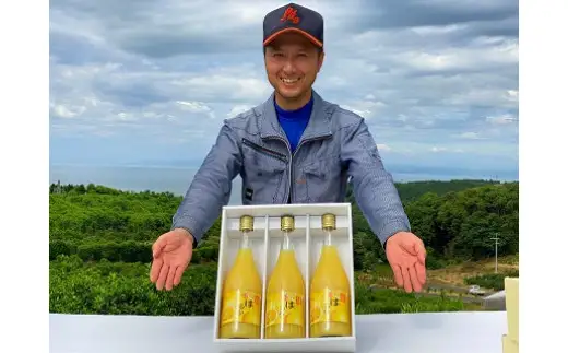 山本農園の生搾りはるか　３本セット ジュース オレンジジュース みかんジュース みかん ブランドみかん オレンジ フルーツ  柑橘  生搾り はるか 新鮮 国産みかん 完熟みかん 佐賀県 太良町 NC15