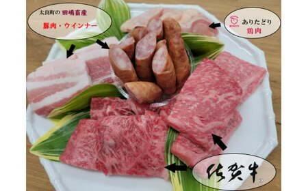 O-159 ギフトにも使える 佐賀牛・田嶋畜産のウインナー・ありたどりの焼肉セット 佐賀牛 田嶋畜産の粗挽きウインナー ありたどり 焼肉 セット ご自宅用   ギフト 食べきりサイズ 保存しやすい 小分けトレイ 2人前 3人前 パーティ おせち 母の日 父の日  誕生日 お中元 お歳暮 ちょっと贅沢