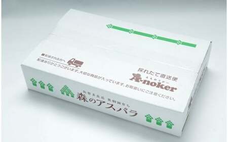 【令和7年3月より発送開始】採れたて直送！「森のアスパラ」１kｇ　アスパラ アスパラガス 国産 新鮮 採れたて 期間限定 旬 佐賀県 太良町 NB7