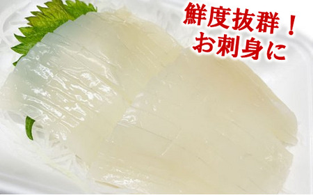 【久慈港水揚げ】冷凍スルメイカ中４～６本（約1ｋｇ前後）
