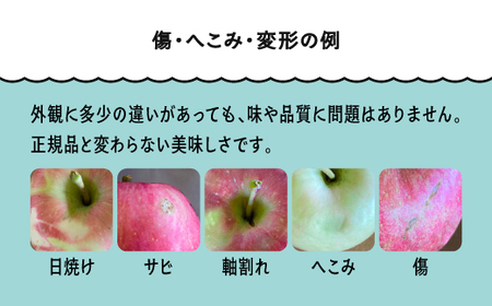【先行予約】 りんご 品種おまかせ 訳あり 無印 約5kg 2026年産 令和8年産 フルーツ 果物 山形県 ※沖縄・離島への配送不可 ja-riwax5