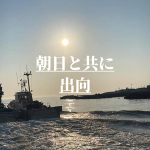 【漁師が獲れたて即加工！】しらす 1kg 朝どれ 大容量 水揚げ 釜揚げ しらす丼 魚介 シーフード 特産品 海産物 新鮮 惣菜 国産 鮮度 ふるさと納税 採れたて 安全 安心 カルシウム 徳島県 小松島